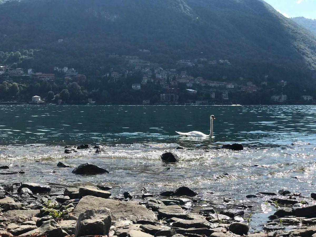 Carate 16 Apartment With Balcony & Lake View Carate Urio