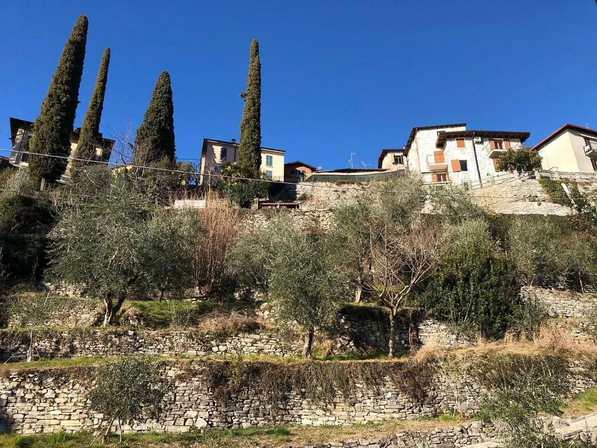 Carate 16 Apartment With Balcony & Lake View Carate Urio Italy